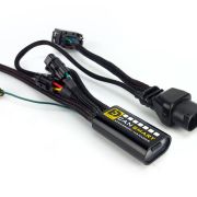 Контролер DENALI 2.0 Plug-n-Play CANsmart™ для серії BMW R1200 із шестигранною головкою DNL.WHS.11800 
