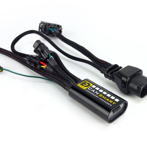 Контролер DENALI 2.0 Plug-n-Play CANsmart™ для серії BMW R1200 із шестигранною головкою